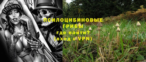 СК Гусь-Хрустальный
