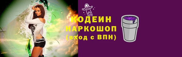 СК Гусь-Хрустальный