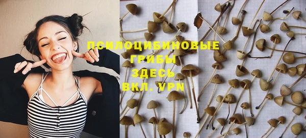 меф Гусев