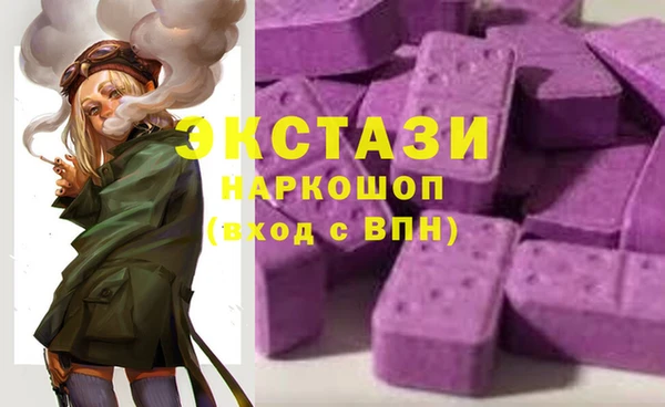 СК Гусь-Хрустальный