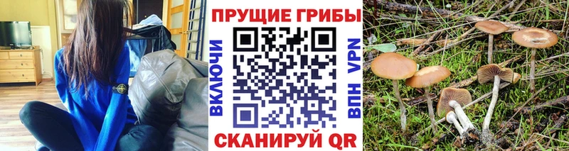 MEGA зеркало  наркота  Избербаш  Галлюциногенные грибы GOLDEN TEACHER 