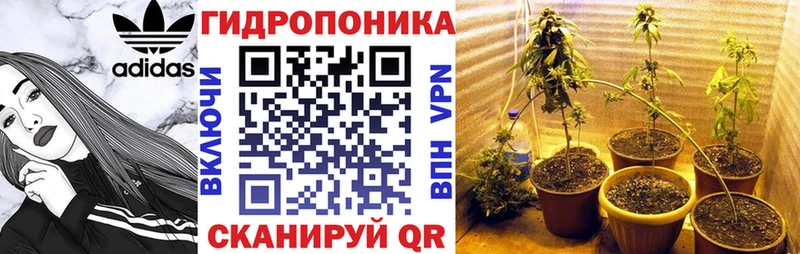 где купить наркоту  KRAKEN   МАРИХУАНА White Widow  Избербаш 